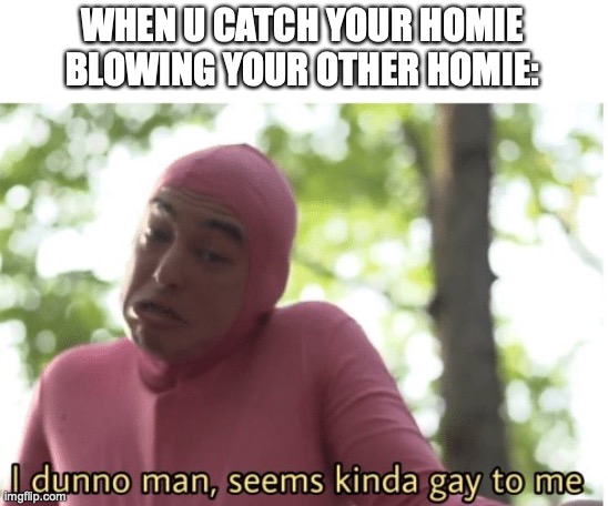 When u catch your homie blowing your other homie | WHEN U CATCH YOUR HOMIE BLOWING YOUR OTHER HOMIE: | image tagged in i dunno man seems kinda gay to me | made w/ Imgflip meme maker