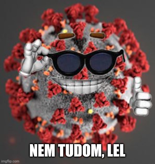 Coronavirus | NEM TUDOM, LEL | image tagged in coronavirus | made w/ Imgflip meme maker