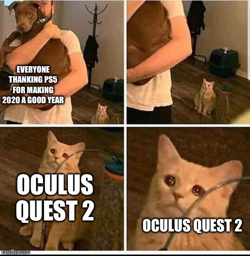 Why is nobody talking about Oculus Quest 2? | EVERYONE THANKING PS5 FOR MAKING 2020 A GOOD YEAR; OCULUS QUEST 2; OCULUS QUEST 2 | image tagged in forgotten sad cat | made w/ Imgflip meme maker