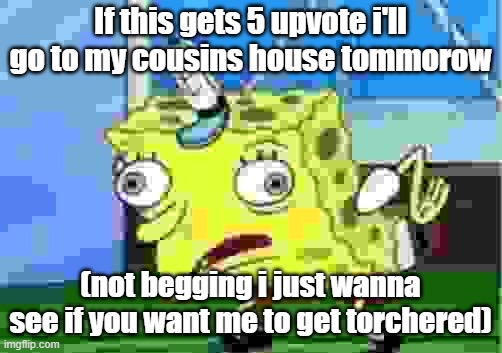 Mocking Spongebob | If this gets 5 upvote i'll go to my cousins house tommorow; (not begging i just wanna see if you want me to get torchered) | image tagged in memes,mocking spongebob | made w/ Imgflip meme maker