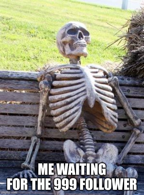 Waiting Skeleton Meme | ME WAITING FOR THE 999 FOLLOWER | image tagged in memes,waiting skeleton | made w/ Imgflip meme maker