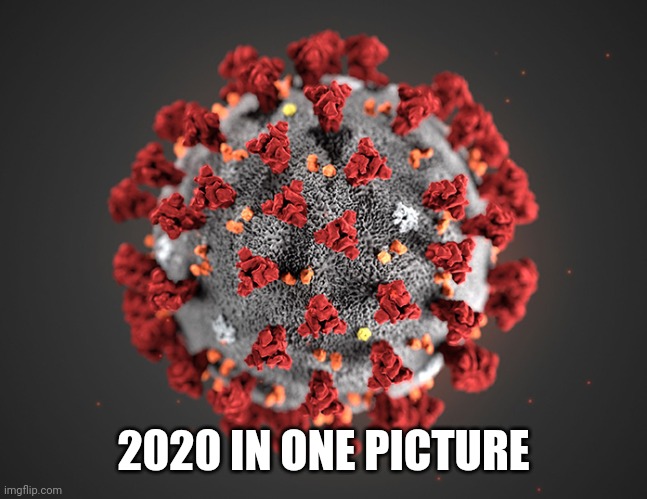 Coronavirus | 2020 IN ONE PICTURE | image tagged in coronavirus,2020,help | made w/ Imgflip meme maker