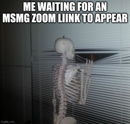 why am i doing this (why  no official zoom after 1000 follows) | ME WAITING FOR AN MSMG ZOOM LIINK TO APPEAR | image tagged in me waiting for my sister to pay me back | made w/ Imgflip meme maker