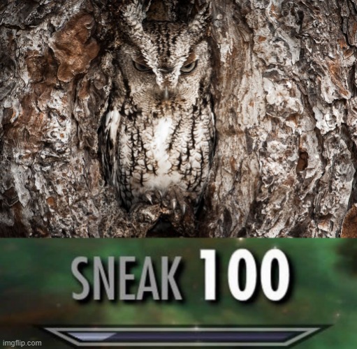 he's turned to bark | image tagged in sneak 100,sneak 200,sneak 300,sneak 400,sneak 500,sneak 600 | made w/ Imgflip meme maker