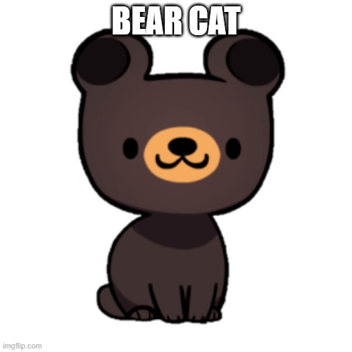 BEAR CAT | made w/ Imgflip meme maker