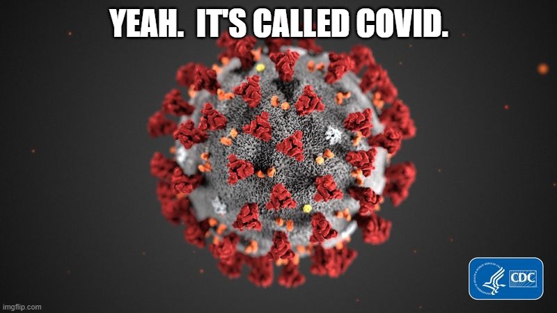 Covid 19 | YEAH.  IT'S CALLED COVID. | image tagged in covid 19 | made w/ Imgflip meme maker