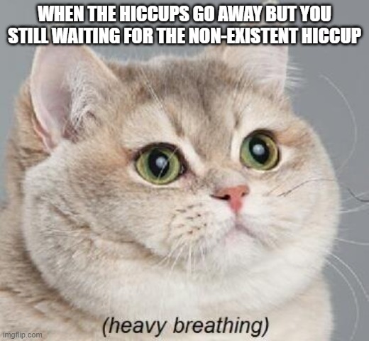the empty void that will never be filled until you forget about it | WHEN THE HICCUPS GO AWAY BUT YOU STILL WAITING FOR THE NON-EXISTENT HICCUP | image tagged in memes,heavy breathing cat | made w/ Imgflip meme maker