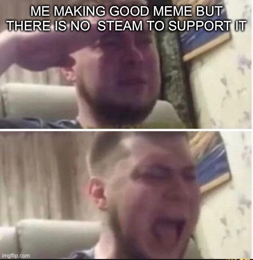 Trueness | ME MAKING GOOD MEME BUT THERE IS NO  STEAM TO SUPPORT IT | image tagged in crying salute | made w/ Imgflip meme maker