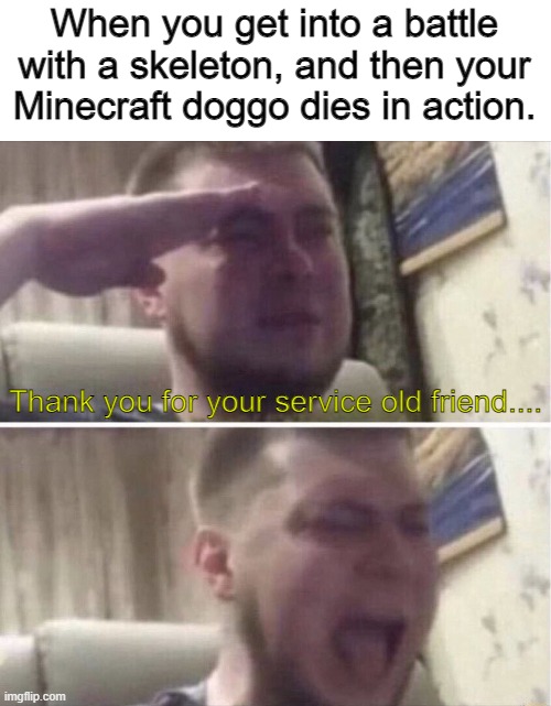 When your Minecraft Dog dies. |  When you get into a battle with a skeleton, and then your Minecraft doggo dies in action. Thank you for your service old friend.... | image tagged in ozon salute,minecraft,gaming,pc gaming | made w/ Imgflip meme maker