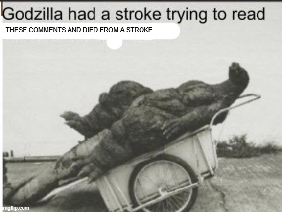 THESE COMMENTS AND DIED FROM A STROKE | image tagged in godzilla | made w/ Imgflip meme maker