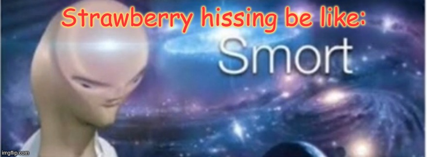 Meme man smort | Strawberry hissing be like: | image tagged in meme man smort | made w/ Imgflip meme maker