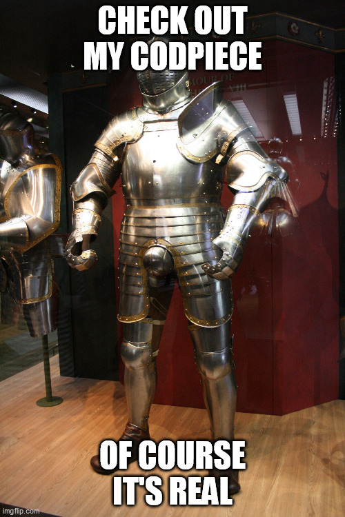 CHECK OUT MY CODPIECE; OF COURSE IT'S REAL | image tagged in memes | made w/ Imgflip meme maker