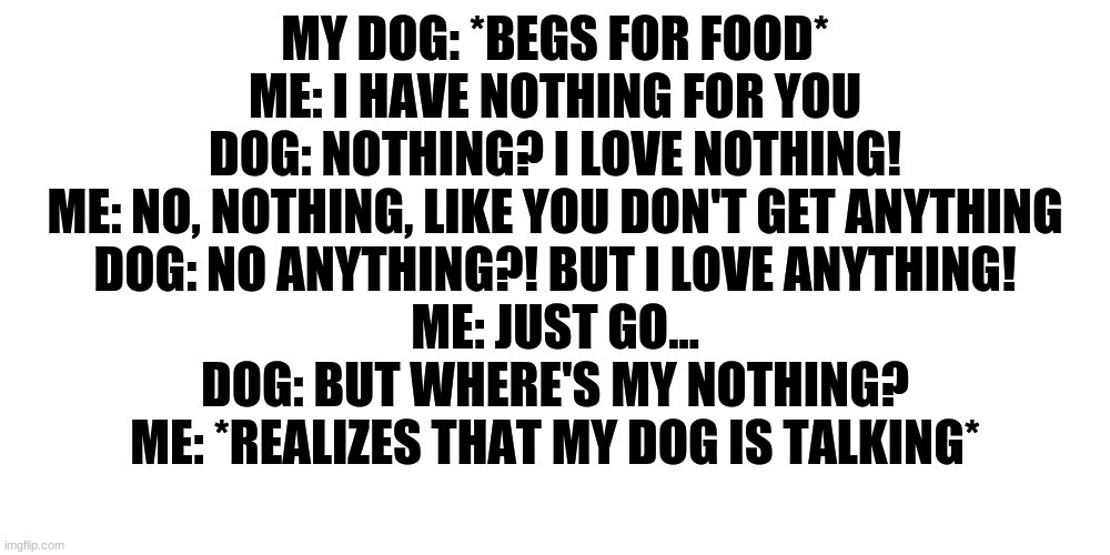 Doge likes nothing | MY DOG: *BEGS FOR FOOD*
ME: I HAVE NOTHING FOR YOU
DOG: NOTHING? I LOVE NOTHING!
ME: NO, NOTHING, LIKE YOU DON'T GET ANYTHING
DOG: NO ANYTHING?! BUT I LOVE ANYTHING!
ME: JUST GO...
DOG: BUT WHERE'S MY NOTHING?
ME: *REALIZES THAT MY DOG IS TALKING* | image tagged in dog | made w/ Imgflip meme maker