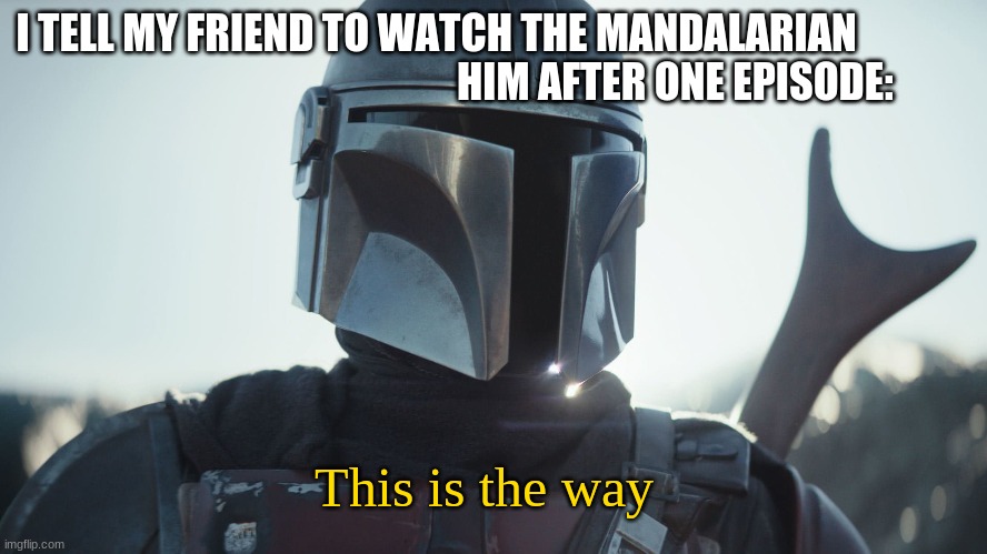 the mandalorian | I TELL MY FRIEND TO WATCH THE MANDALARIAN                                                           HIM AFTER ONE EPISODE:; This is the way | image tagged in friend,the way,the mandalorian | made w/ Imgflip meme maker