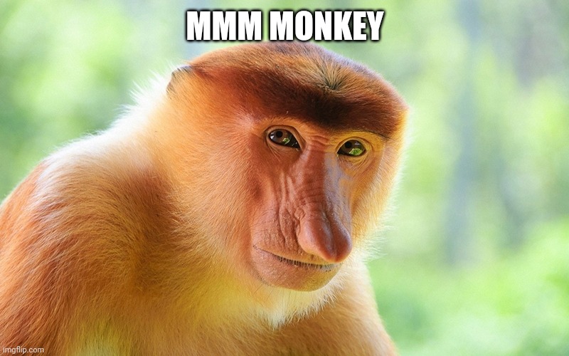 I don't f-ing know anymore | MMM MONKEY | image tagged in nosacz monkey | made w/ Imgflip meme maker