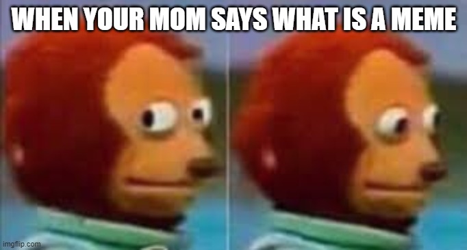 when you mom ask what a meme is | WHEN YOUR MOM SAYS WHAT IS A MEME | image tagged in monkey | made w/ Imgflip meme maker
