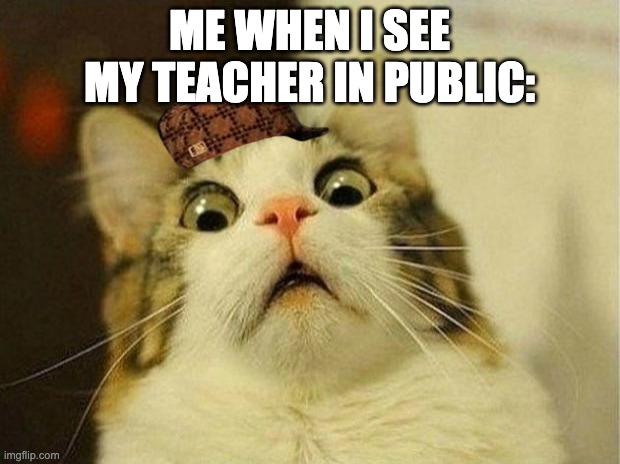 Oh no. | ME WHEN I SEE MY TEACHER IN PUBLIC: | image tagged in memes,scared cat,funny,cats | made w/ Imgflip meme maker
