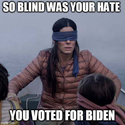 Bird Box | SO BLIND WAS YOUR HATE; YOU VOTED FOR BIDEN | image tagged in memes,bird box | made w/ Imgflip meme maker