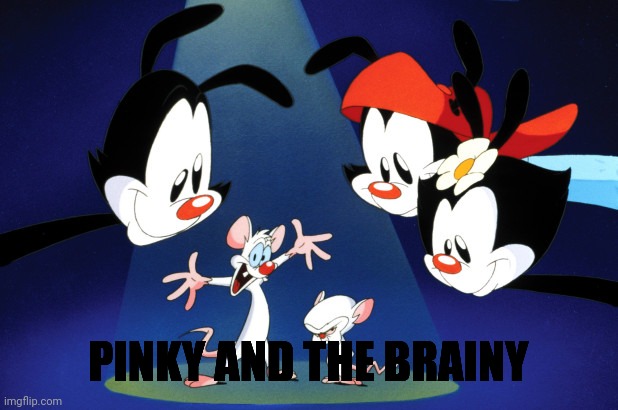 Pinky and the Brain Animaniacs | PINKY AND THE BRAINY | image tagged in pinky and the brain animaniacs | made w/ Imgflip meme maker