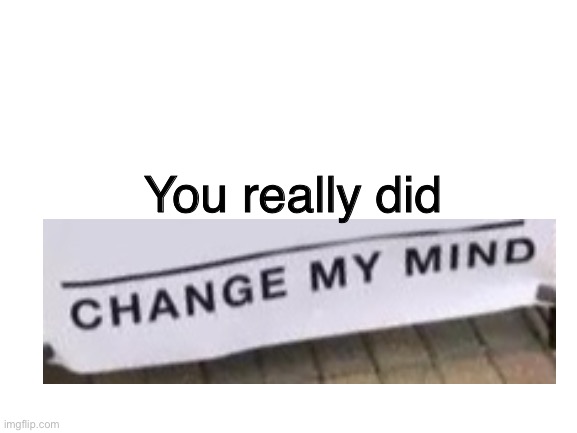 Blank White Template | You really did | image tagged in blank white template | made w/ Imgflip meme maker