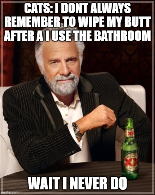 The most interesting man in the world | CATS: I DONT ALWAYS REMEMBER TO WIPE MY BUTT AFTER A I USE THE BATHROOM; WAIT I NEVER DO | image tagged in memes,the most interesting man in the world,cats | made w/ Imgflip meme maker