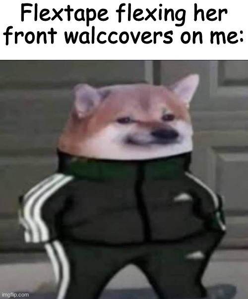 Slav doge | Flextape flexing her front walccovers on me: | image tagged in slav doge | made w/ Imgflip meme maker