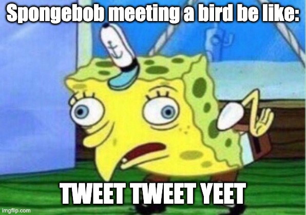 Mocking Spongebob | Spongebob meeting a bird be like:; TWEET TWEET YEET | image tagged in memes,mocking spongebob | made w/ Imgflip meme maker