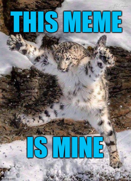 This meme is mine | THIS MEME; IS MINE | image tagged in this meme is mine,my meme,cat,leopard | made w/ Imgflip meme maker