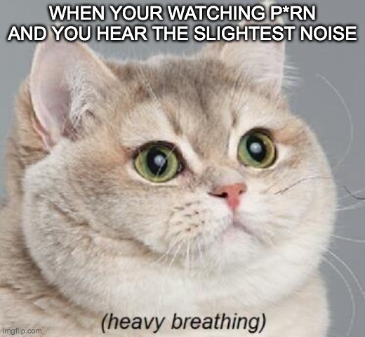 Heavy breathing | WHEN YOUR WATCHING P*RN AND YOU HEAR THE SLIGHTEST NOISE | image tagged in memes,heavy breathing cat | made w/ Imgflip meme maker