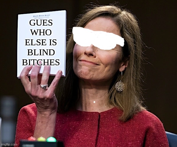 Amy Coney Barrett Blank Notes | GUES WHO ELSE IS BLIND BITCHES | image tagged in amy coney barrett blank notes | made w/ Imgflip meme maker