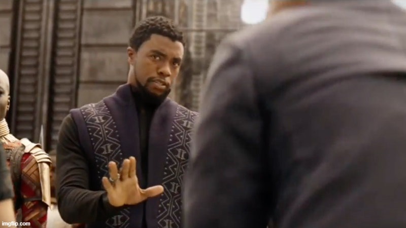 Tchalla we dont do that here | image tagged in tchalla we dont do that here | made w/ Imgflip meme maker