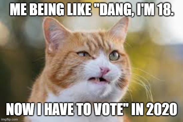 vote... | ME BEING LIKE "DANG, I'M 18. NOW I HAVE TO VOTE" IN 2020 | image tagged in voting | made w/ Imgflip meme maker