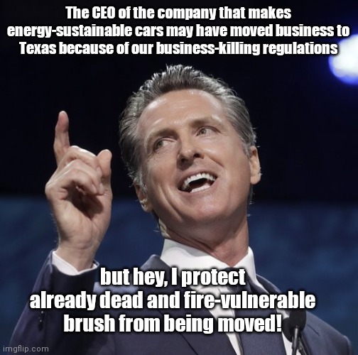 Gov. Gavin Newsom reflects on his bragging rights as Elon Musk moves Tesla out of California | The CEO of the company that makes energy-sustainable cars may have moved business to Texas because of our business-killing regulations; but hey, I protect already dead and fire-vulnerable brush from being moved! | image tagged in gavin newsom,california fires,environmentalist hypocrisy,stupid liberals,elon musk,tesla tells california goodbye | made w/ Imgflip meme maker