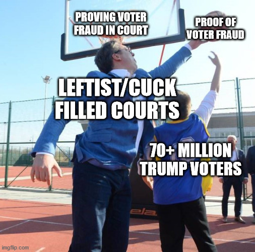 Your vote doesn't count because you can't prove your vote doesn't count in court | PROVING VOTER FRAUD IN COURT; PROOF OF VOTER FRAUD; LEFTIST/CUCK FILLED COURTS; 70+ MILLION TRUMP VOTERS | image tagged in vucic blocks kid,voter fraud,election 2020,injustice,government corruption | made w/ Imgflip meme maker