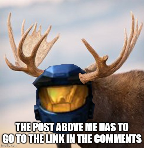 Camoose | THE POST ABOVE ME HAS TO GO TO THE LINK IN THE COMMENTS | image tagged in camoose | made w/ Imgflip meme maker