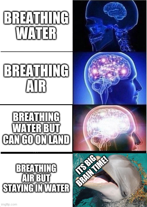 Expanding Brain Meme | BREATHING WATER; BREATHING AIR; BREATHING WATER BUT CAN GO ON LAND; BREATHING AIR BUT STAYING IN WATER; ITS BIG BRAIN TIME! | image tagged in memes,expanding brain | made w/ Imgflip meme maker