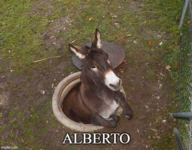 Alberto | ALBERTO | image tagged in juan | made w/ Imgflip meme maker
