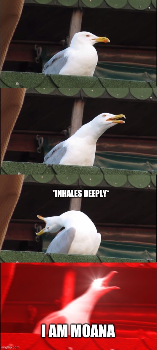 Inhaling Seagull | *INHALES DEEPLY*; I AM MOANA | image tagged in memes,inhaling seagull | made w/ Imgflip meme maker