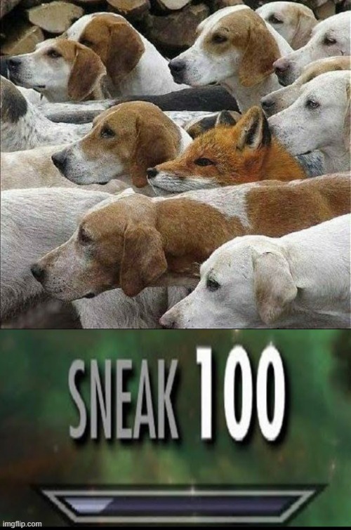 sneak 100 | image tagged in funny,awsome,cool,memes | made w/ Imgflip meme maker