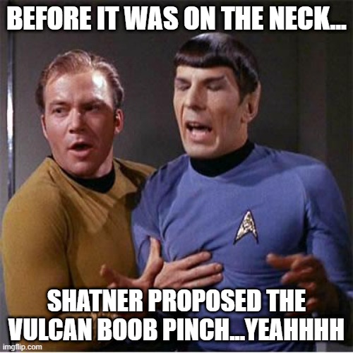 Didn't Take | BEFORE IT WAS ON THE NECK... SHATNER PROPOSED THE VULCAN BOOB PINCH...YEAHHHH | image tagged in star trek inappropriate touching | made w/ Imgflip meme maker