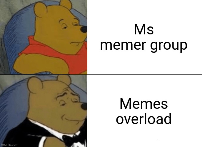Tuxedo Winnie The Pooh | Ms memer group; Memes overload | image tagged in memes,tuxedo winnie the pooh | made w/ Imgflip meme maker