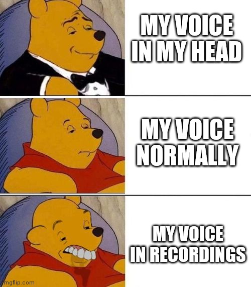 My Voice in a nutshell. | MY VOICE IN MY HEAD; MY VOICE NORMALLY; MY VOICE IN RECORDINGS | image tagged in tuxedo on top winnie the pooh 3 panel | made w/ Imgflip meme maker
