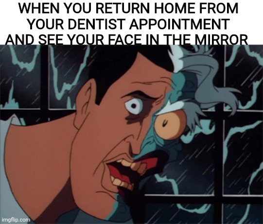 I'm hideously disgusted disfigured. |  WHEN YOU RETURN HOME FROM YOUR DENTIST APPOINTMENT AND SEE YOUR FACE IN THE MIRROR | image tagged in funny,dentist | made w/ Imgflip meme maker