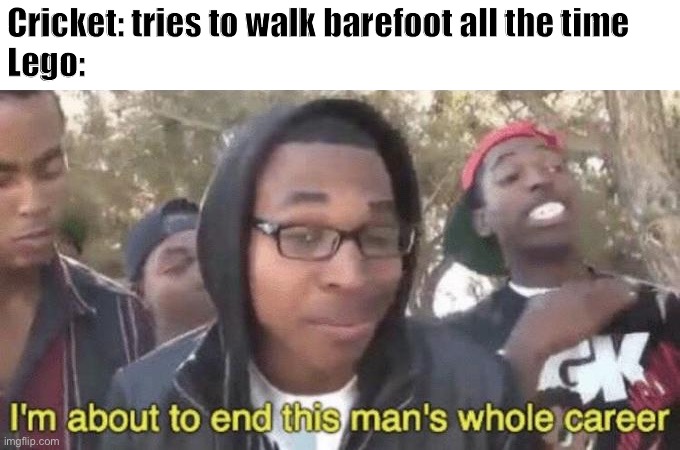 I’m about to end this man’s whole career | Cricket: tries to walk barefoot all the time
Lego: | image tagged in i m about to end this man s whole career | made w/ Imgflip meme maker