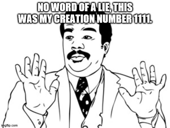 Neil deGrasse Tyson Meme | NO WORD OF A LIE, THIS WAS MY CREATION NUMBER 1111. | image tagged in memes,neil degrasse tyson | made w/ Imgflip meme maker