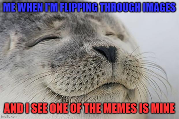 It shouldn't be hard for Raydog to find one... | ME WHEN I'M FLIPPING THROUGH IMAGES; AND I SEE ONE OF THE MEMES IS MINE | image tagged in memes,satisfied seal | made w/ Imgflip meme maker
