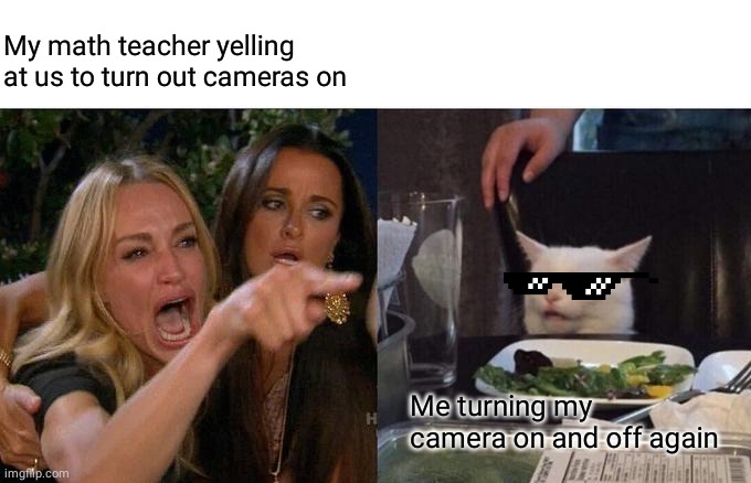 Woman Yelling At Cat | My math teacher yelling at us to turn out cameras on; Me turning my camera on and off again | image tagged in memes,woman yelling at cat | made w/ Imgflip meme maker