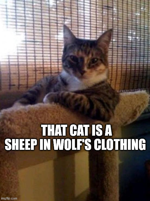 The Most Interesting Cat In The World | THAT CAT IS A SHEEP IN WOLF'S CLOTHING | image tagged in memes,the most interesting cat in the world | made w/ Imgflip meme maker