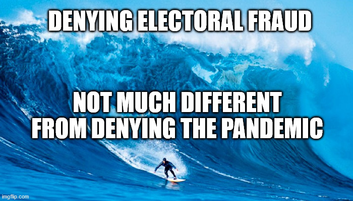 Freedom is more than your political preferences | DENYING ELECTORAL FRAUD; NOT MUCH DIFFERENT FROM DENYING THE PANDEMIC | image tagged in tsunami surfer,memes,facemask,voter fraud,new world order,politics | made w/ Imgflip meme maker