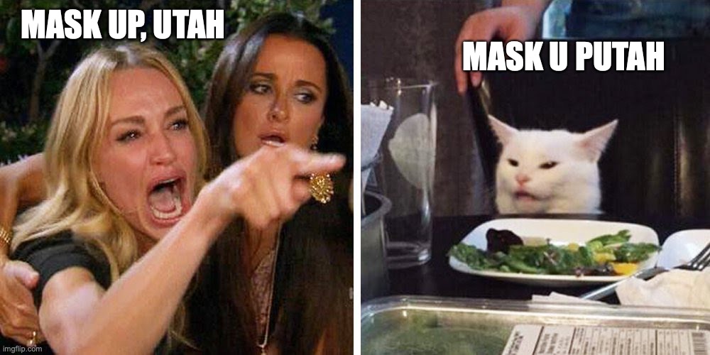 Smudge the cat | MASK UP, UTAH; MASK U PUTAH | image tagged in smudge the cat | made w/ Imgflip meme maker